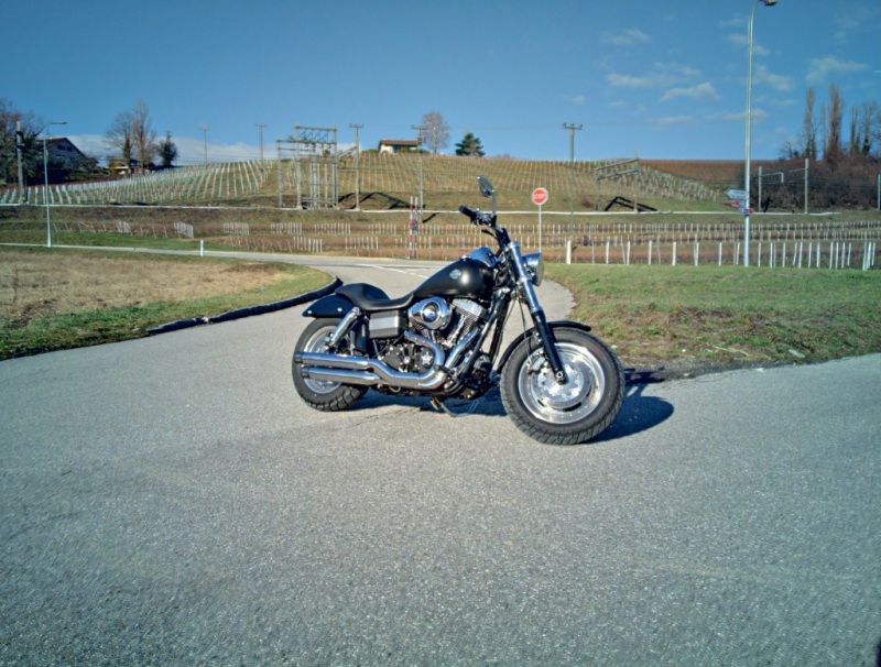 IMAGE(<a href="http://www.geneva-racing.ch/images2/fatbob/fatglide_hdr2.jpg" rel="nofollow">http://www.geneva-racing.ch/images2/fatbob/fatglide_hdr2.jpg</a>)