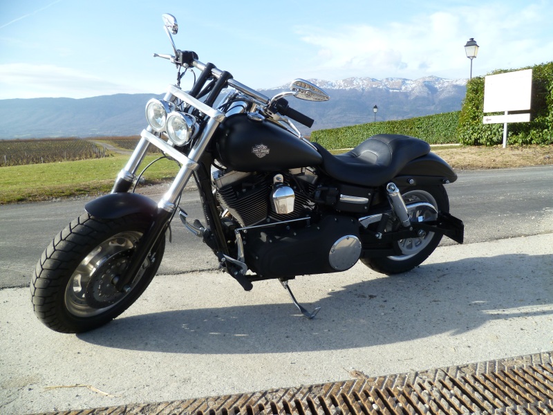 IMAGE(<a href="http://www.geneva-racing.ch/images2/fatbob/side.jpg" rel="nofollow">http://www.geneva-racing.ch/images2/fatbob/side.jpg</a>)
